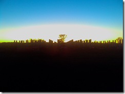 IMAGE_866