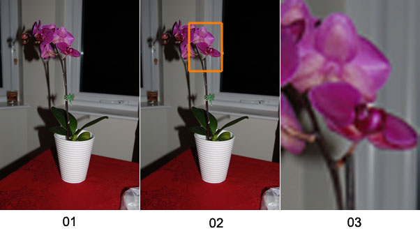 Digital Zoom Example