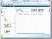090130_Blog_ScreenShot_1