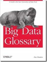big_data_glossary big_data_glossary