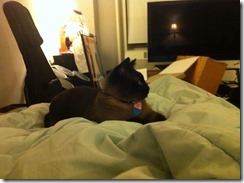 IMG_0284 IMG_0284