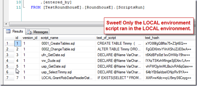 View of ScriptsRun table with run output View of ScriptsRun table with run output