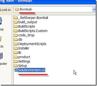 Finding SolutionVersion
