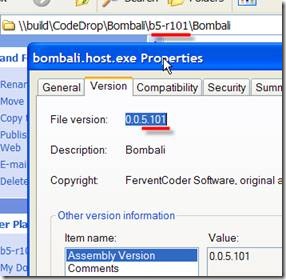 Build server version shows 0.0.5.101