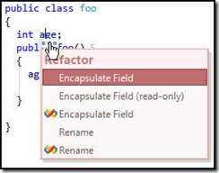 EncapsulateField EncapsulateField