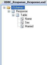BizTalk 2009 ODBC Adpater Schema Generation - ODBC Response Schema