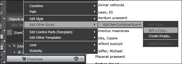 EditItemContainerStyle EditItemContainerStyle