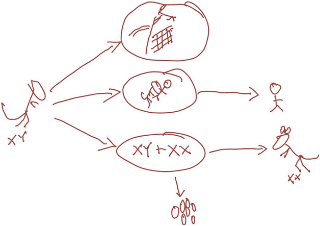 Use Cases for the Raptor Actor
