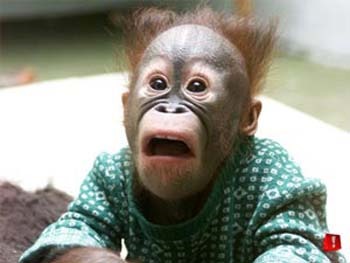 shocked shocked